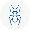 Ant Removals In Hindley