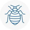 Bed Bug Extermination In Hindley