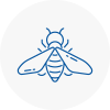 Bee Nest Removal Hindley