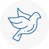 Bird Prevention Hindley