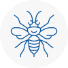 Hindley Hornet Nest Removals
