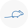 Mice Exterminators In Hindley