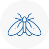 Moth Control Specialists In Hindley