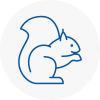 Hindley Rodent Removals