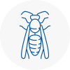 Hindley Wasp Nest Removal